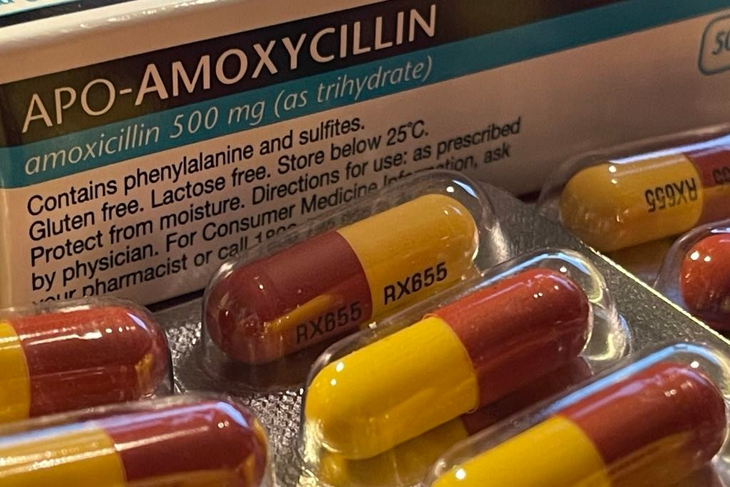 Antibiotics are a safe bet to take on trips. Amoxicillin