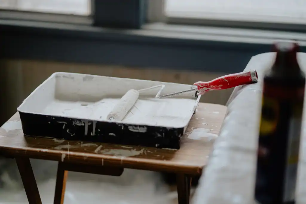 Paint roller and paint tray