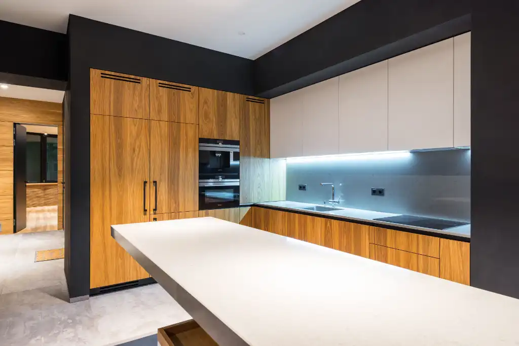 Modern style kitchen